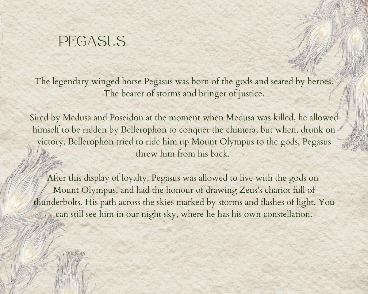 "Laced In Lore" Bespoke Commissions: Pegasus