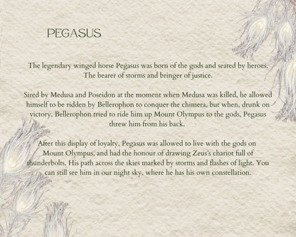 "Laced In Lore" Bespoke Commissions: Pegasus